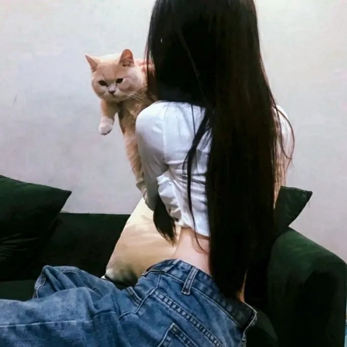 精灵高中