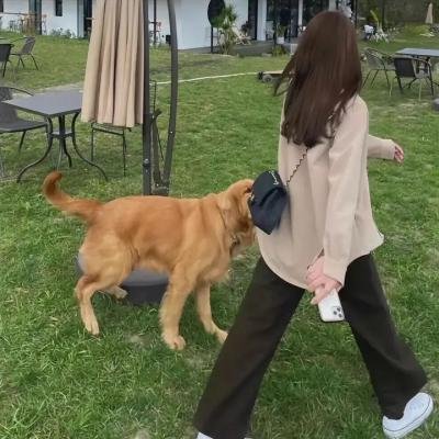 小美人鱼2：重返大海